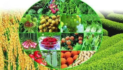 構建農產品追溯標準體系，推進農業全程標準化——七部門聯合部署農產品質量安全新舉措