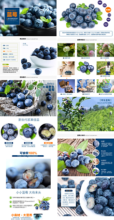 農資與農產品 現代農業(yè)發(fā)展的雙輪驅動